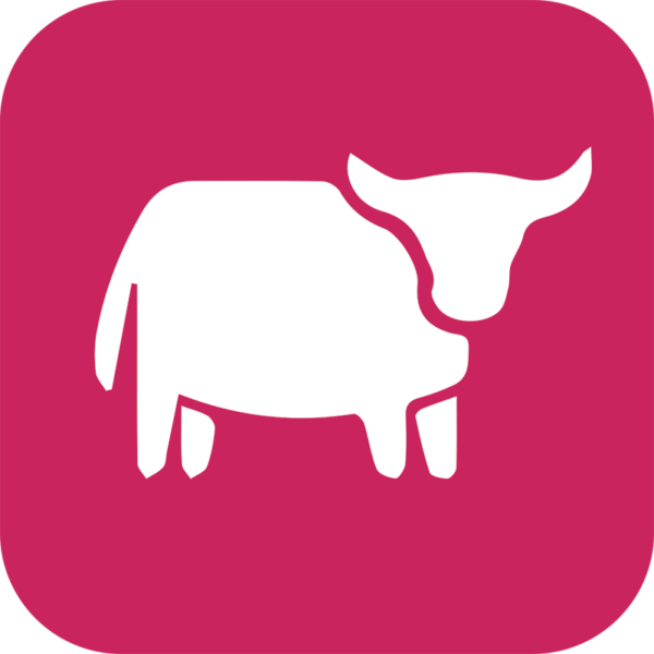 Viande de boeuf