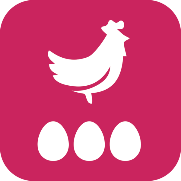 Volailles oeufs